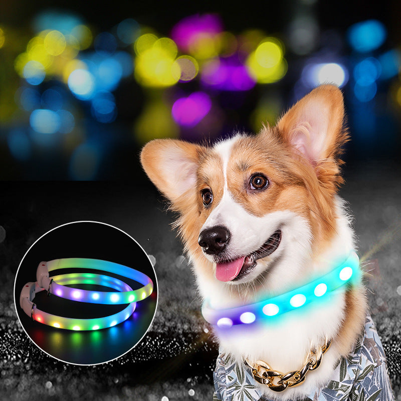 Pets at home light up collar best sale