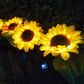 Solar Sunflower Lamps (Set of 4)