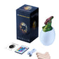 Hatching Dinosaur Egg Remote Controlled 16 Colour USB charging edition