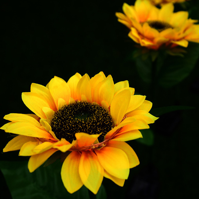 Solar Sunflower Lamps (Set of 4)