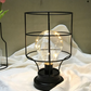 Architectural Design Light