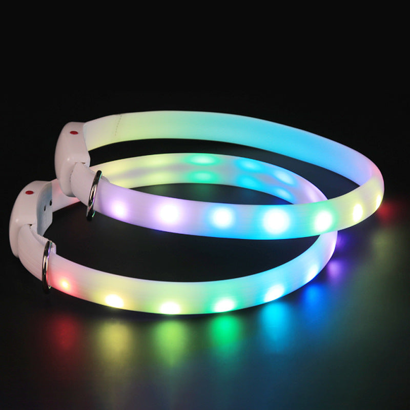 Pet Multi - LED Glowing Collar