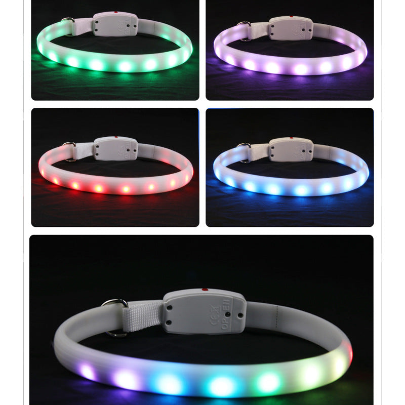 Pet Multi - LED Glowing Collar