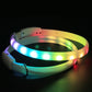 Pet Multi - LED Glowing Collar