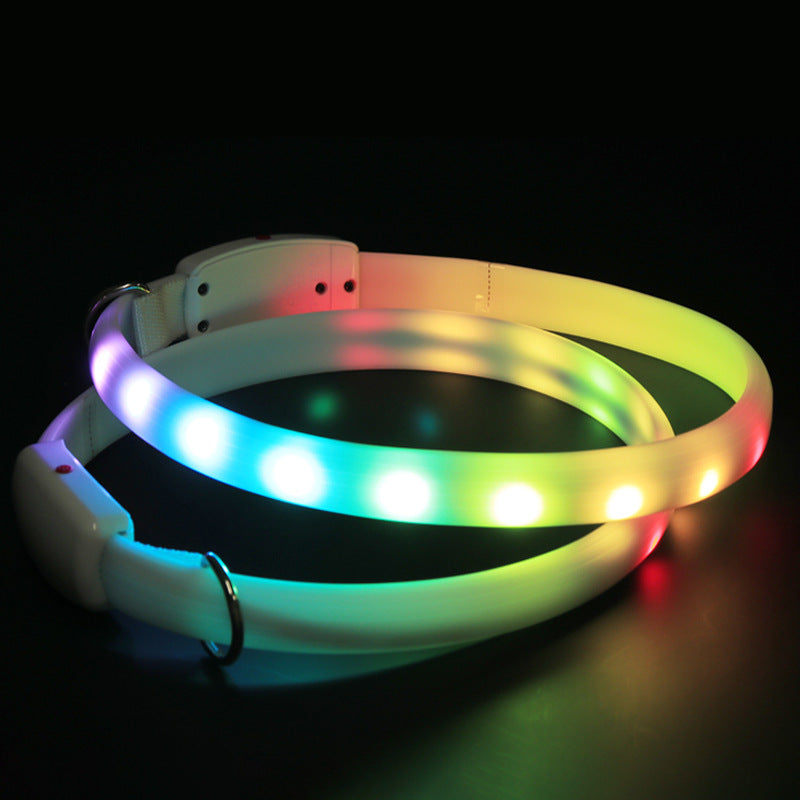 Pet Multi - LED Glowing Collar